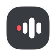 Recorder icon