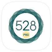 528 Player icon