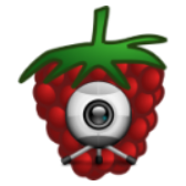 RPi Camera Viewer icon