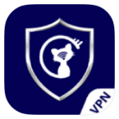 VPN PRO icon