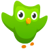 Duolingo icon