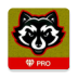 VPN Pro icon