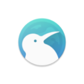 Kiwi Browser icon