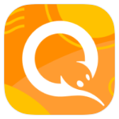 QIWI icon