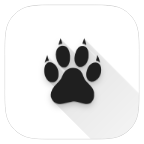Amarok icon