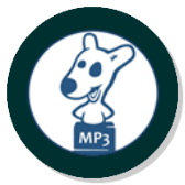 VK mp3 mod icon