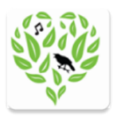 Bird Monitor icon