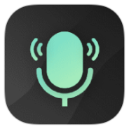 Mic test icon