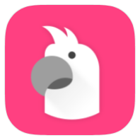 SayIt icon