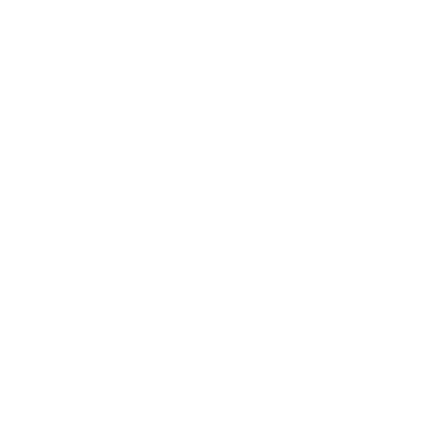 Dudeplayer icon