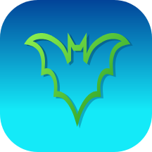 BBVpn icon