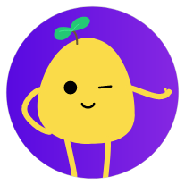 PotatoVPN icon