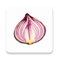 Onion search engine icon