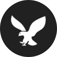 HttpCanary icon