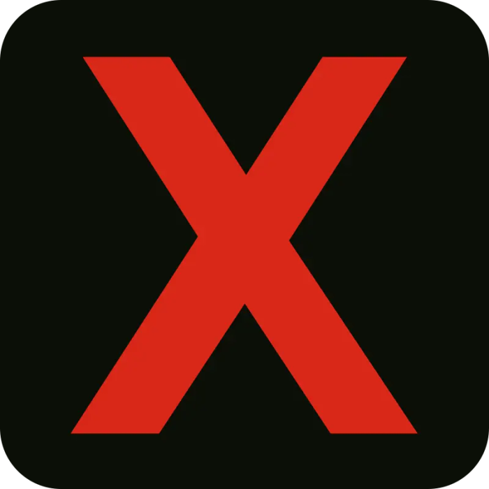 XVIDEOS icon