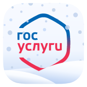 Госуслуги icon