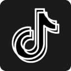 TikTok icon