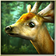 Forest HD icon