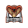 Cobra King Pro icon