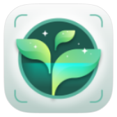 Plant Identifier icon