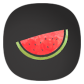 Melon VPN icon