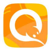 QIWI icon