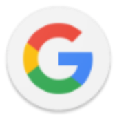 Google icon