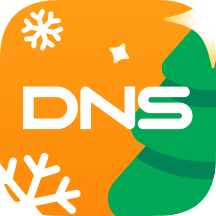 DNS icon