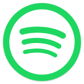 Spotify Lite icon