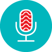 Echo icon