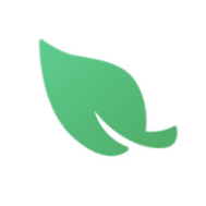 Leaf VPN icon