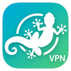 GeckoVPN icon