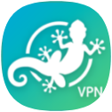 GeckoVPN icon