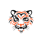 Tigon VPN icon