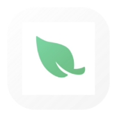 Leaf VPN icon