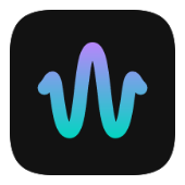 Wavelet icon