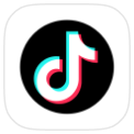 TikTok icon