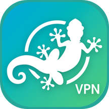 GeckoVPN icon