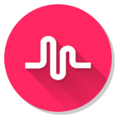 TikTok icon