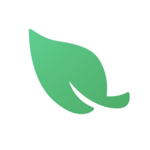 Leaf VPN icon