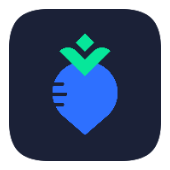 RadishVPN icon