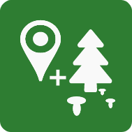 Forest Navigator icon