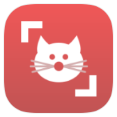 Cat Scanner icon