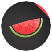 Melon VPN icon