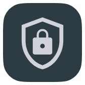 Crypto icon