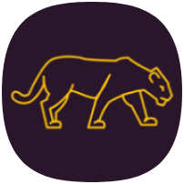 VPN Panther icon