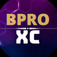 BPRO MX icon