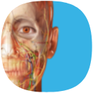 Atlas icon