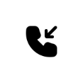 Alternate icon