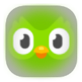 Duolingo icon